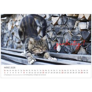 Produktbild für Bildkalender Edition-Seidel Coole Katzen 2026