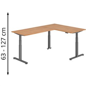 Schreibtisch Hammerbacher XDSMW, nussbaum / graphit