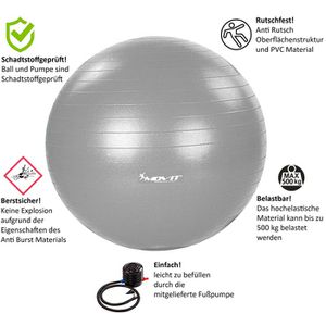 Movit Gymnastikball Dynamic Ball, groß, Ø 65cm, mit Pumpe, silber –  Böttcher AG