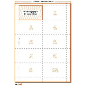 Karteo Einsteckschilder P24-1600-E-0-B, für Namensschilder, 90 x 54mm, 100 Stück , 100 Stück