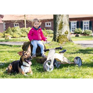 Produktbild für Dreirad Pinolino 239428, Mini-Laufdreirad Charlie, natur