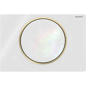 Produktbild für Betätigungsplatte Geberit Sigma10, aus Kunststoff, für WC