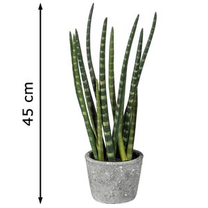 Produktbild für Kunstpflanze Creativ-green Sansevieria