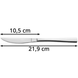 Produktbild für Steakmesser Amefa Atlantic, 12 Stück