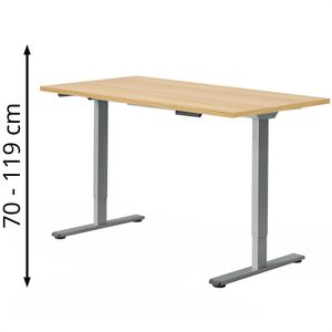 Schreibtisch FlexiSpot E1S Pro, ahorn / grau