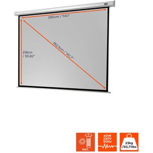 Produktbild für Beamer-Leinwand Celexon Motor Economy