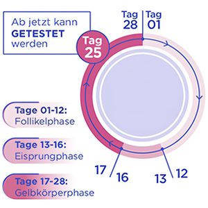 Produktbild für Schwangerschaftstest TESTAmed Frühtest, 99% zuverlässig