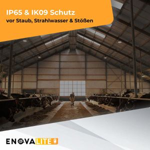 Produktbild für LED-Hallenstrahler Enovalite ELED500153, 100 Watt