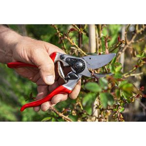 Produktbild für Gartenschere FELCO 9, Bypass