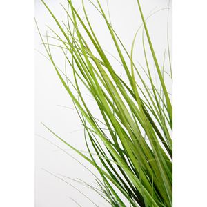 Produktbild für Kunstpflanze I.GE.A. Grasbusch