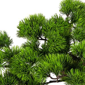Produktbild für Kunstpflanze Creativ-green Bonsai Kiefer