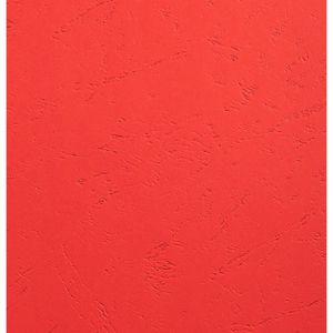 Produktbild für Deckblätter Exacompta Forever 2782c, A4