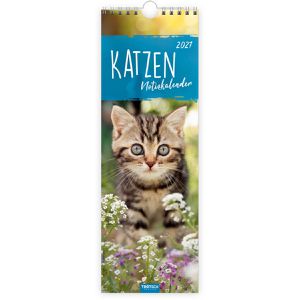 Produktbild für Streifenkalender Trötsch 2027806, Katzen