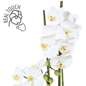 Produktbild für Kunstblume Creativ-green Orchidee, Phalaenopsis