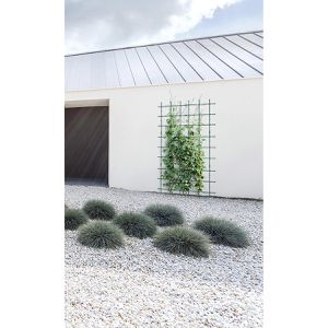Produktbild für Rankgitter Prosperplast Floo Supports IFLS4, grün, zum Stecken