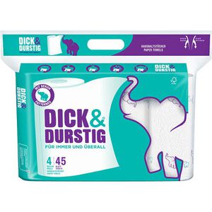 Produktbild für Küchenrolle Hakle Dick &amp; Durstig, 2-lagig