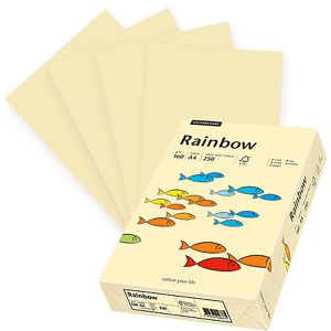 Kopierpapier Papyrus Rainbow 88042283
