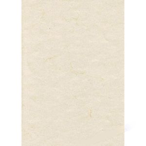 Zanders Briefpapier 88001576, weiß, A4, Elefantenhaut, 110 g/m², 100 Blatt