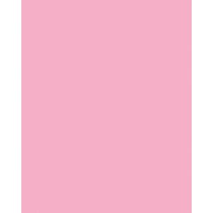 Produktbild für Tonpapier Folia 6118/21/26, A2