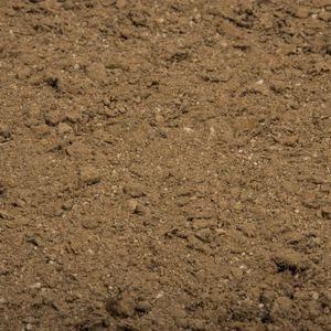 Produktbild für Dünger Compo Bio Naturdünger mit Guano
