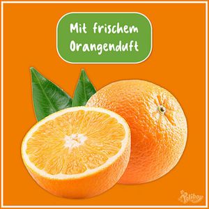 Produktbild für Lederreiniger Poliboy Spray