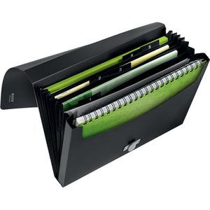 Fächermappe Leitz 4624-00-95 recycle, A4, schwarz