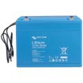 Victron Batteriewächter BatteryProtect 12/24V, 100A – Böttcher AG