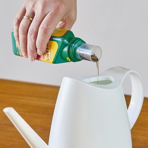 Produktbild für Dünger Seramis Vitalnahrung Kakteen &amp; Sukkulenten