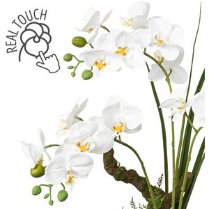 Produktbild für Kunstblume Creativ-green Orchidee, Phalaenopsis