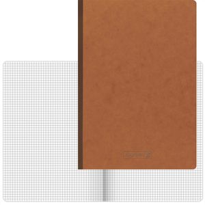 Notizbuch Brunnen FACT!plus, 104347270, braun, A4