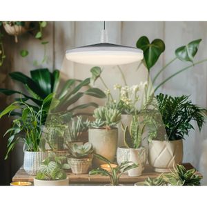 Produktbild für Pflanzenlampe Bioledex GoLeaf, mit LED, Vollspektrum