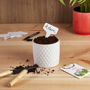 Produktbild für Pflanzenschilder OwnGrown Stecketiketten-Set Schilder weiß