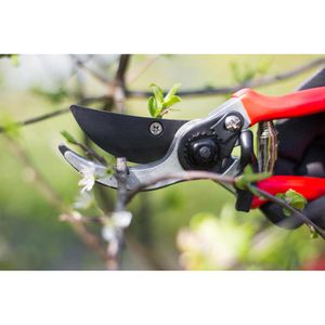 Produktbild für Gartenschere Meister WU9719100 Basic, Bypass