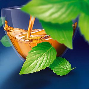 Produktbild für Tee Meßmer Pfefferminze