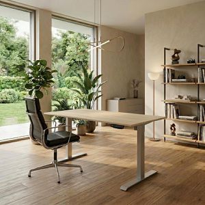 Produktbild für Schreibtisch Kerkmann Move 1, ahorn / silber
