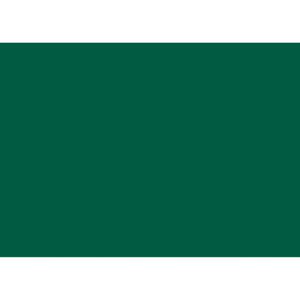 Produktbild für Seidenpapier Heyda 203310559, grün