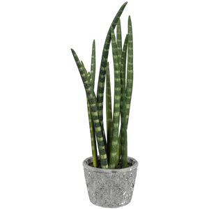 Kunstpflanze Creativ-green Sansevieria