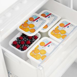Produktbild für Frischhaltedose Rotho Domino, aus Kunststoff