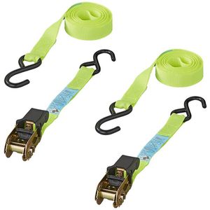 Spanngurt ProPlus 320204, mit Haken & Ratsche