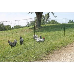 Produktbild für Weidezaunnetz Kerbl PoultryNet 292414, Geflügelnetz