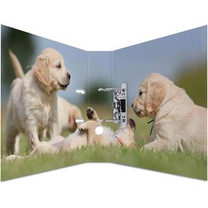 Produktbild für Ordner Herma 7165 Animals, Karton, A4