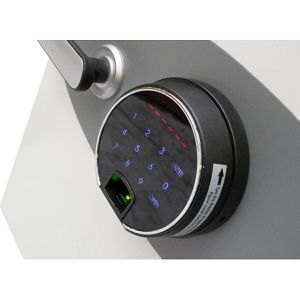 Produktbild für Tresor Phoenix Datacombi DS2504F