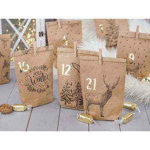 Produktbild für Adventskalender Papierdrachen Cozy Winter