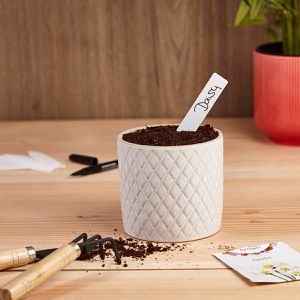 Produktbild für Pflanzenschilder OwnGrown Stecketiketten-Set Plastikstäbe weiß