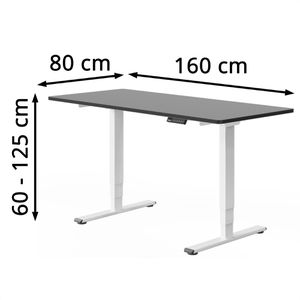 Produktbild für Schreibtisch FlexiSpot E5W, schwarz / weiß