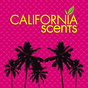 Produktbild für Autoduft California-Scents Ice