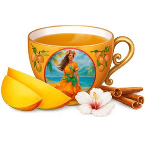 Produktbild für Tee YogiTea Mango Chai, BIO