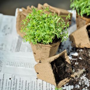 Produktbild für Anzuchttöpfe Relaxdays 10045157, 120 Stück