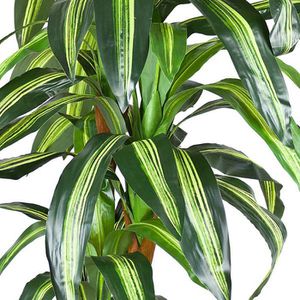 Produktbild für Kunstpflanze Decovego Drachenbaum