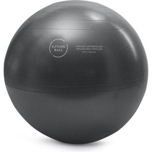 Produktbild für Sitzball Sitting-Ball FELT, belastbar bis 100 kg